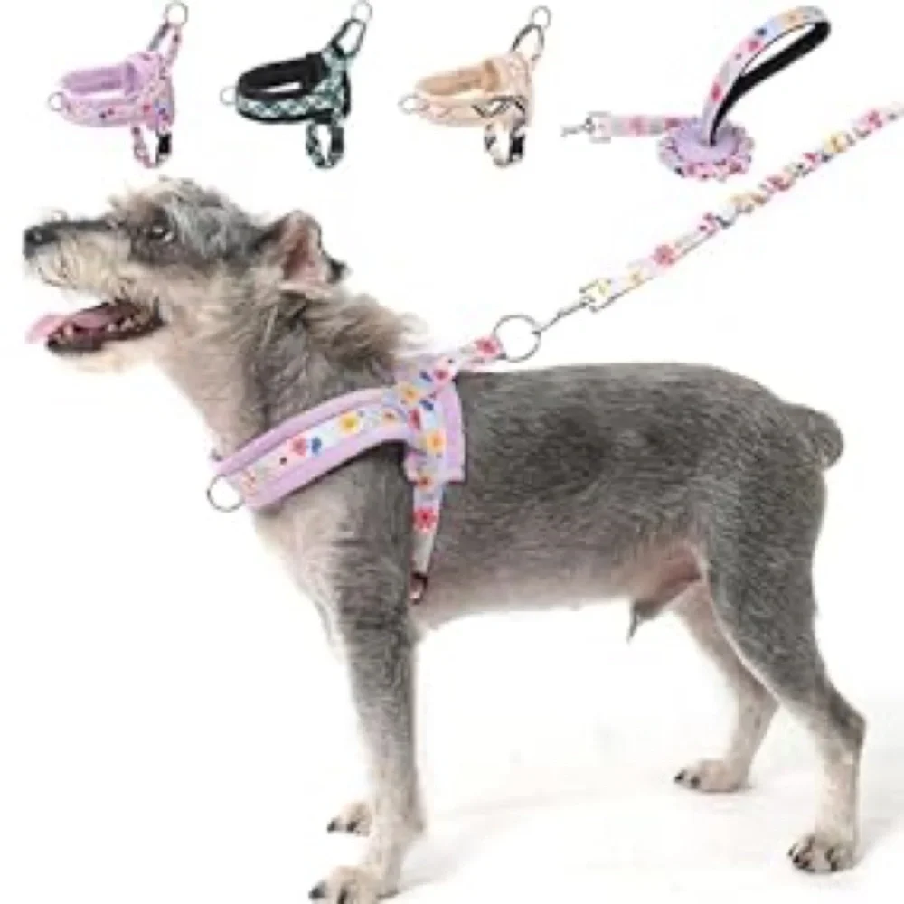 Floral Pink Kids Harness and Leash Set